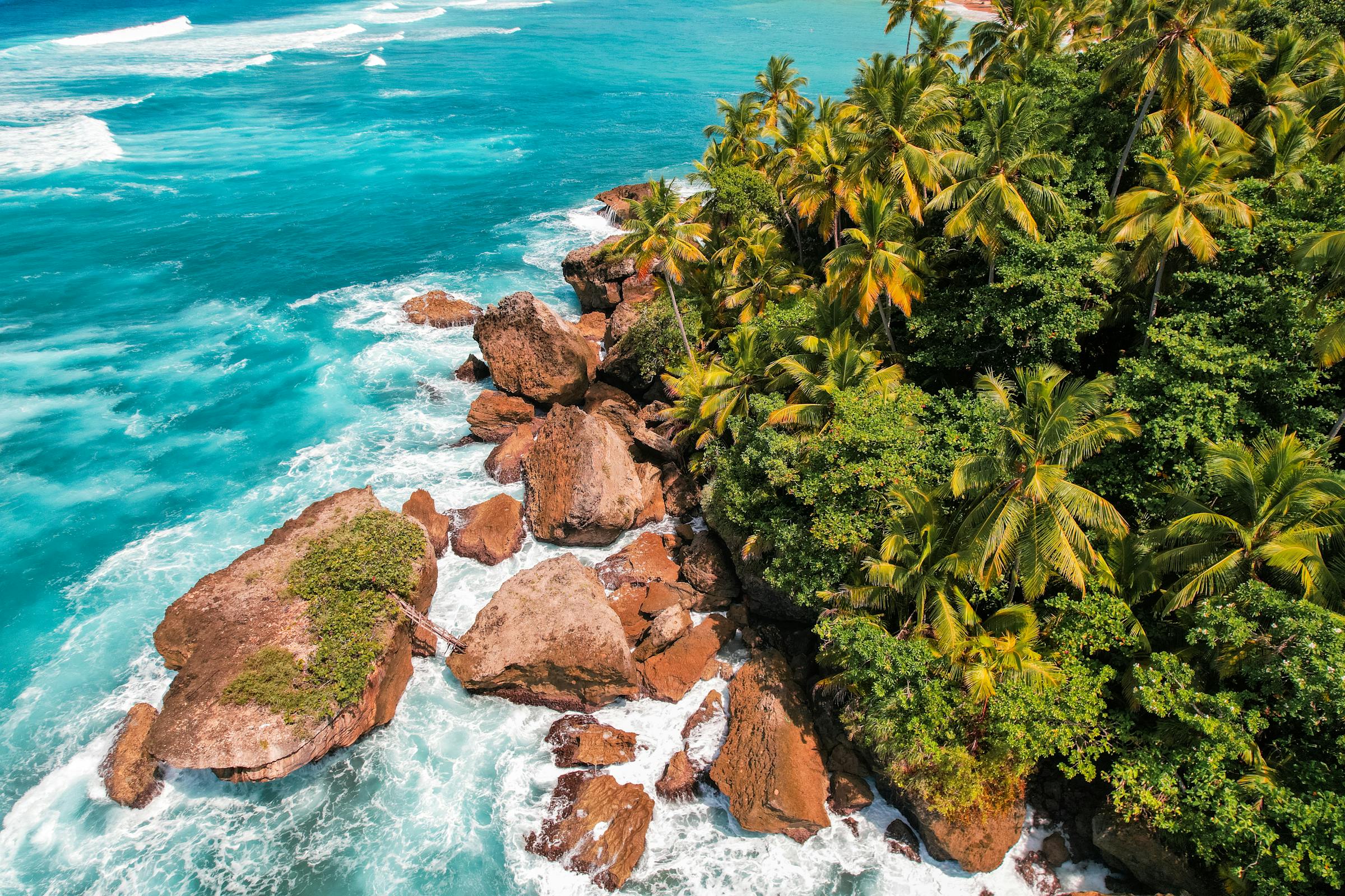 Aerial view of a Caribbean island with red rocks, palm trees and turquoise sea in the Dominican Republic